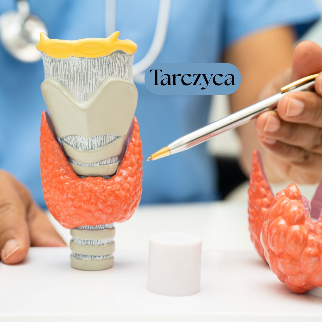 Tarczyca, hashimoto, niedoczynność, nadczynność, dieta, choroba tarczycy